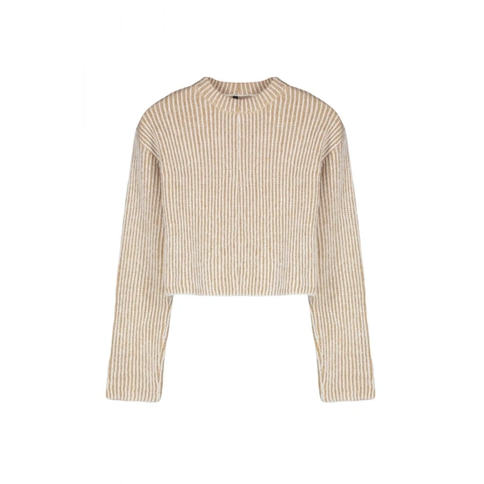 Kadın Moda Şık Bisiklet Yaka Standart Kol Crop Yumuşak Dokulu Triko Kazak