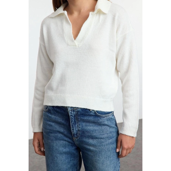 Womens Fashion Stylish Polo Neck Standard Sleeve Regular Wide Pattern Soft Texture Basic Knitwear Sweater