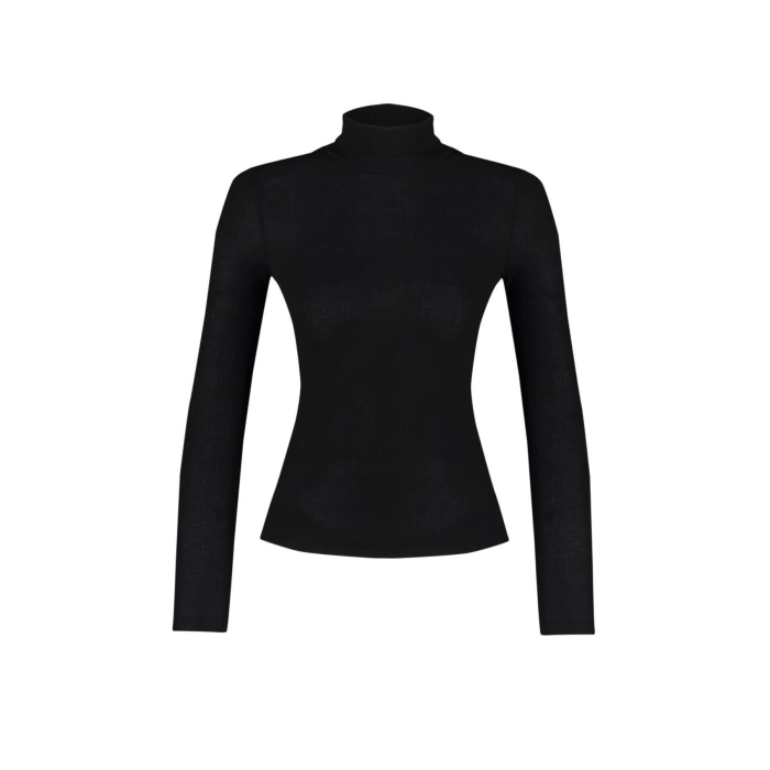 Women Fashion Stylish Turtleneck Standard Sleeve Regular Transparent Look Thin Knitwear Sweater