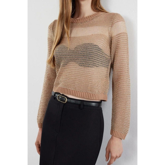 Kadın Moda Şık Bisiklet Yaka Standart Kol Regular Crop Transparan Geçişli Simli Triko Kazak