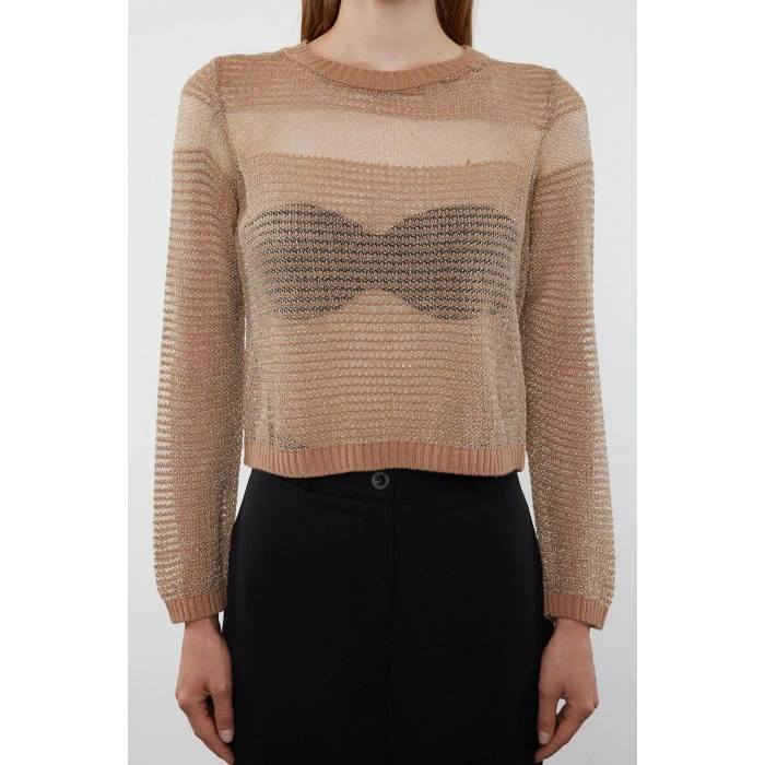 Kadın Moda Şık Bisiklet Yaka Standart Kol Regular Crop Transparan Geçişli Simli Triko Kazak