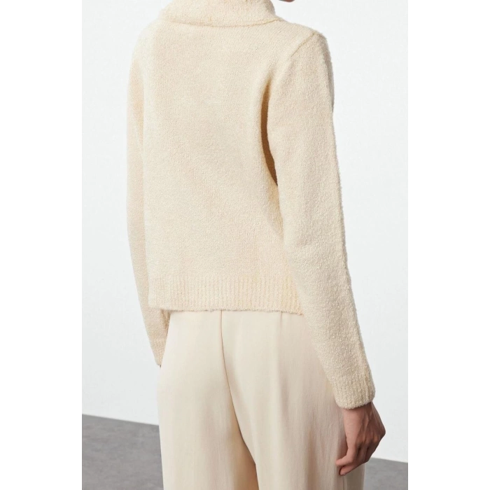 Womens Fashion Stylish Polo Collar Standard Sleeve Regular Soft Textured Bronch Detailed Knitwear Sweater