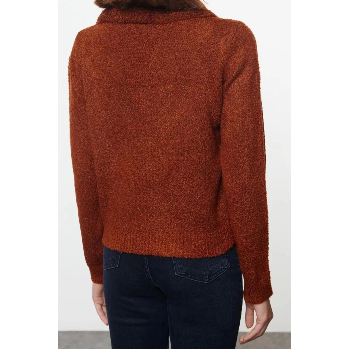 Womens Fashion Stylish Polo Collar Standard Sleeve Regular Soft Textured Bronch Detailed Knitwear Sweater