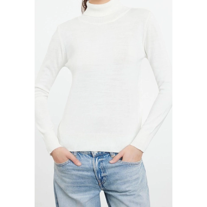 Women Fashion Stylish Turtleneck Standard Sleeve Regular Basic Three Piece Set Knitwear Sweater