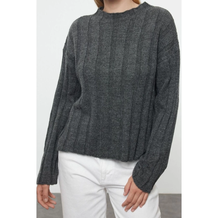 Women Fashion Stylish Stand Collar Standard Sleeve Regular Soft Texture Basic Knitwear Sweater