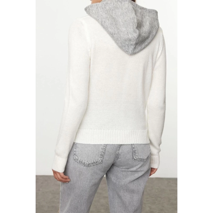 Women Fashion Stylish Hooded Regular Sleeve Soft Textured Knitwear Sweater