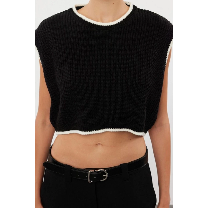 Women Fashion Stylish Crew Neck Regular Sleeve Crop Knit Sweater