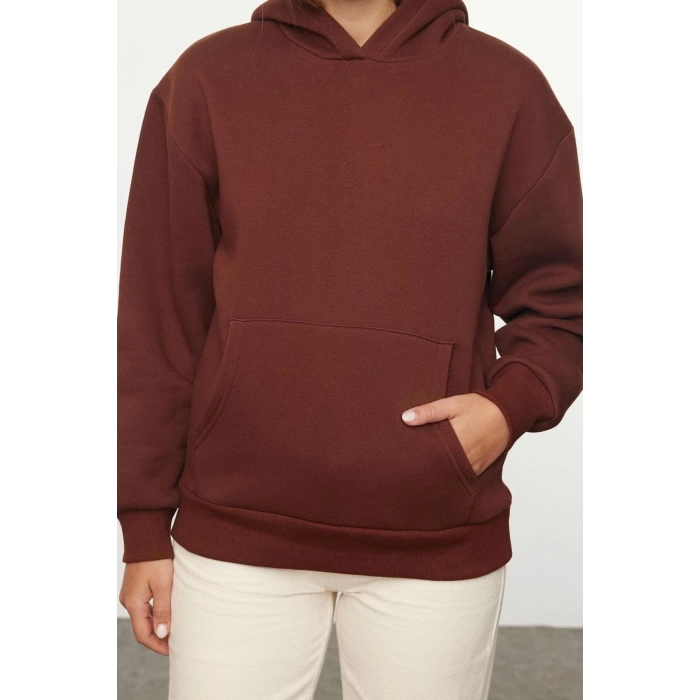 Women Fashion Stylish Regular Hooded Low Sleeve Regular Regular Fit Knitted Sweatshirt