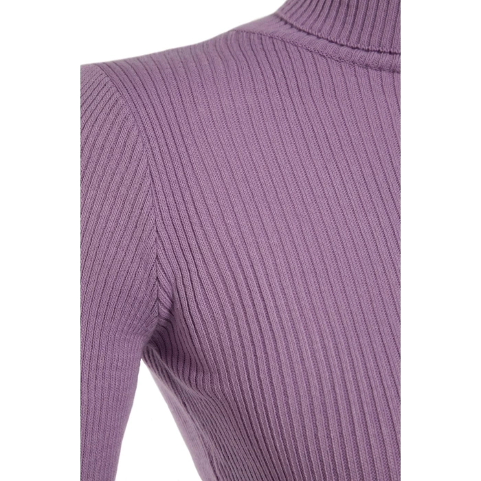 Womens Modern Style Casual Long Turtleneck Plain Sleeve Regular Knit Sweater