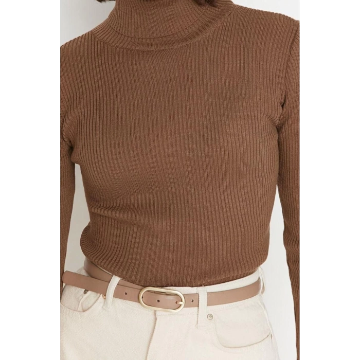 Womens Modern Style Casual Long Turtleneck Plain Sleeve Regular Knit Sweater