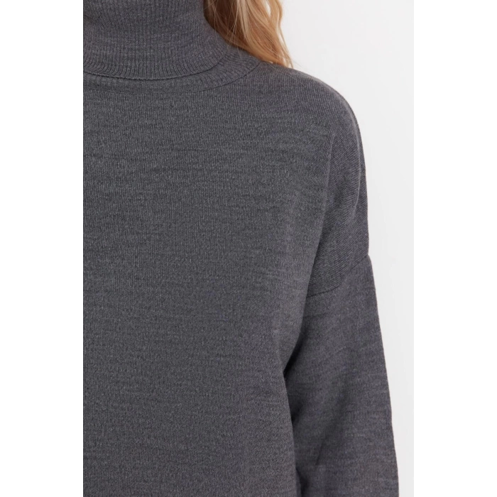 Womens Modern Style Casual Long Turtleneck Plain Sleeve Regular Knit Sweater