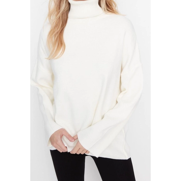 Style Modern Women Regular Standard Sleeve Turtleneck Wide Pattern Basic Knitwear Sweater