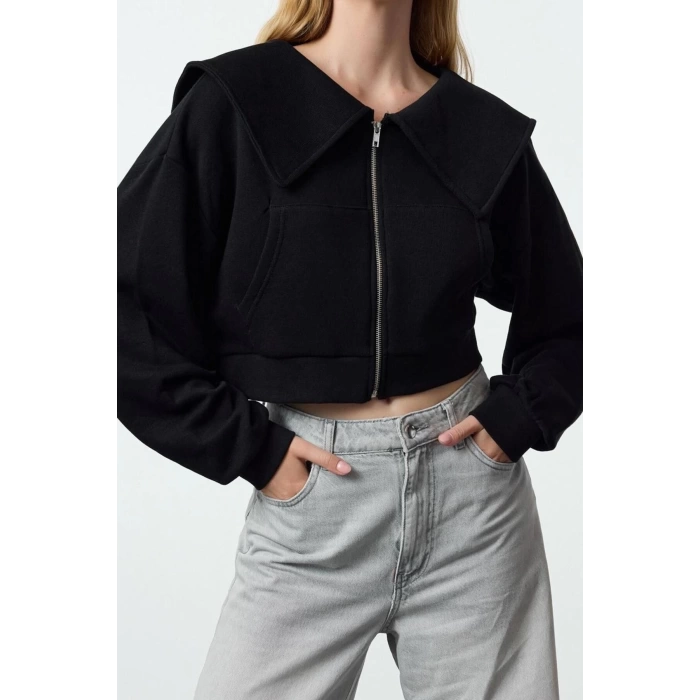 Style Crop Polo Neck Low Sleeve Crop Regular Cut Zippered Collar Detailed Knitted Sweatshirt