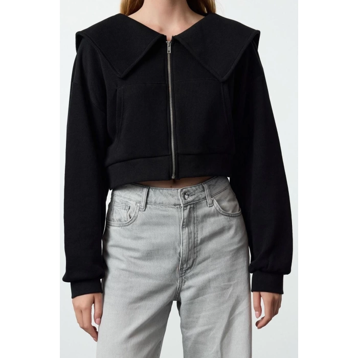 Style Crop Polo Neck Low Sleeve Crop Regular Cut Zippered Collar Detailed Knitted Sweatshirt