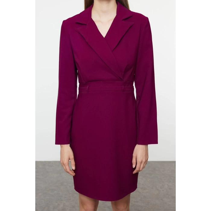 Fashion Style Regular Jacket Collar Mini Length Woven Dress