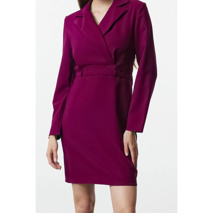 Fashion Style Regular Jacket Collar Mini Length Woven Dress