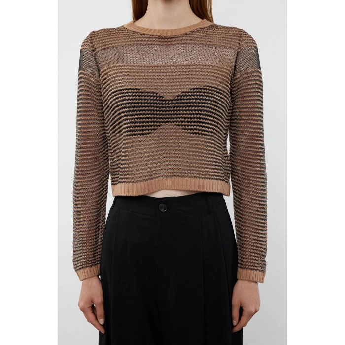 Stil Modern Kadın Regular Standart Kol Bisiklet Yaka Crop Transparan Geçişli Simli Triko Kazak