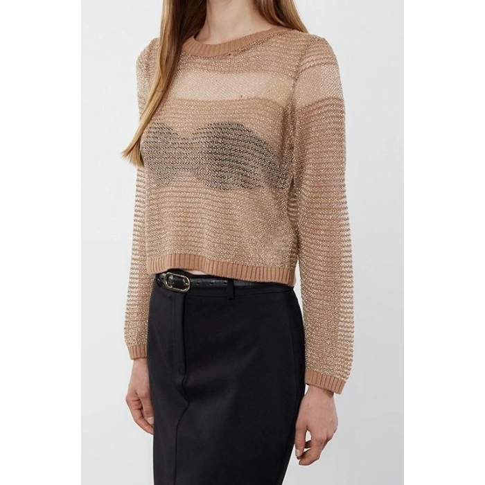 Stil Modern Kadın Regular Standart Kol Bisiklet Yaka Crop Transparan Geçişli Simli Triko Kazak