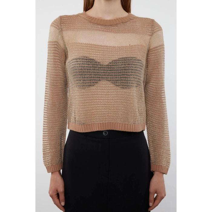Stil Modern Kadın Regular Standart Kol Bisiklet Yaka Crop Transparan Geçişli Simli Triko Kazak