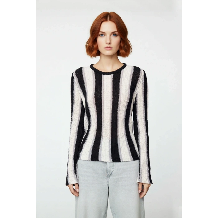 Kadın Basic Bisiklet Yaka İnce Triko Renk Bloklu Uzun Kollu Pamuk Polyester Karışımlı Kazak