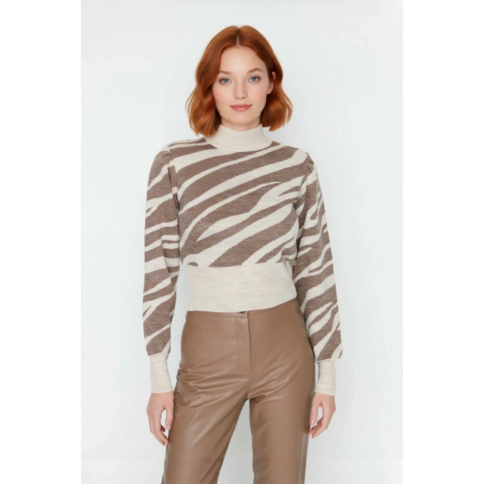 Kadın Basic Regular Kalıp Zebra Desenli Dik Yaka Crop Triko Kazak Günlük Giyimde İddialı Kaliteli