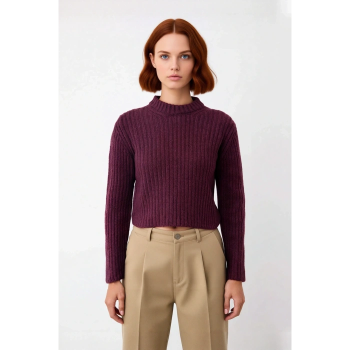 Kadın Regular Fit Crop Fitilli Bisiklet Yaka Uzun Kollu Orta Kalın Triko Kazak Kışlık Kombinlerin