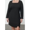 Women Fashion Stylish Plus Size Mini Length Crew Neck Fitted Long Sleeve Finike Woven Plus Size Dress