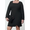 Women Fashion Stylish Plus Size Mini Length Crew Neck Fitted Long Sleeve Finike Woven Plus Size Dress