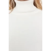 Women Fashion Stylish Turtleneck Standard Sleeve Regular Indigo Wide Pattern Basic Knitwear Sweater