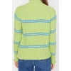 Women Fashion Stylish Stand Collar Raglan Sleeve Regular Striped Knitwear Sweater