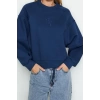 Women Fashion Stylish Regular Crew Neck Low Sleeve Crop Fit Embroidered Thick Fleece Knitted Sweatshirt