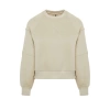 Women Fashion Stylish Regular Crew Neck Low Sleeve Crop Fit Embroidered Thick Fleece Knitted Sweatshirt
