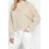 Women Fashion Stylish Regular Crew Neck Low Sleeve Crop Fit Embroidered Thick Fleece Knitted Sweatshirt