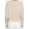 Women Fashion Stylish Regular Crew Neck Low Sleeve Crop Fit Embroidered Thick Fleece Knitted Sweatshirt