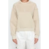 Women Fashion Stylish Regular Crew Neck Low Sleeve Crop Fit Embroidered Thick Fleece Knitted Sweatshirt