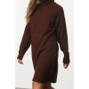 Women Fashion Stylish Mini Length Turtleneck Regular Knitwear Basic Dress