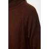 Women Fashion Stylish Mini Length Turtleneck Regular Knitwear Basic Dress