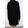 Women Fashion Stylish Mini Length Polo Neck Regular Knitwear Basic Dress