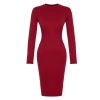 Women Fashion Stylish Midi Length Stand Collar Slim Fitted Long Sleeve Ribbed Stretchy Knit Dress