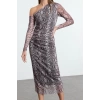 Women Fashion Stylish Maxi Length Asymmetrical Collar Slim Animal Leopard Printed Bodycon Stretchy Knit Dress