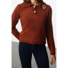 Womens Fashion Stylish Polo Collar Standard Sleeve Regular Soft Textured Bronch Detailed Knitwear Sweater