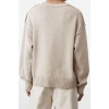 Women Fashion Stylish Crew Neck Standard Sleeve Regular Wide Pattern Basic Knitwear Sweater