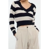 Women Fashion Stylish V Neck Regular Sleeve Regular Crop Striped Knitwear Sweater
