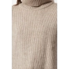 Women Fashion Stylish Turtleneck Regular Sleeve Crop Soft Textured Knitted Sweater