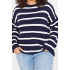 Plus Size Women Modern Style Casual Long Crew Neck Striped Sleeve Long Knitwear Sweater