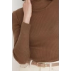 Womens Modern Style Casual Long Turtleneck Plain Sleeve Regular Knit Sweater