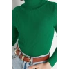 Womens Modern Style Casual Long Turtleneck Plain Sleeve Regular Knit Sweater