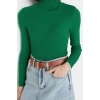 Womens Modern Style Casual Long Turtleneck Plain Sleeve Regular Knit Sweater