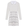 Fashion Style Regular Shirt Collar Mini Length Plaid Checkered Woven Dress