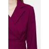 Fashion Style Regular Jacket Collar Mini Length Woven Dress